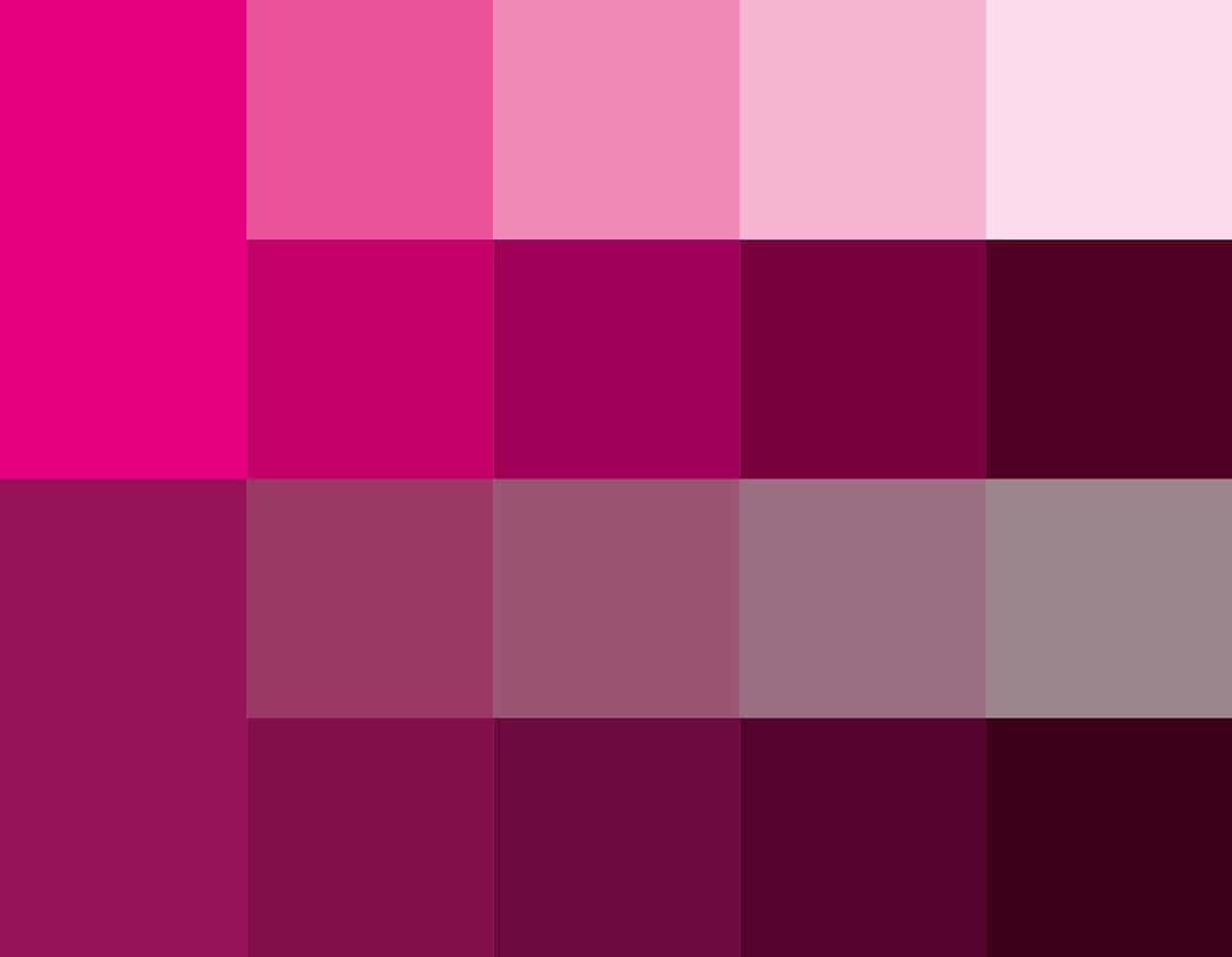 Tints, shades and tones of the same pink