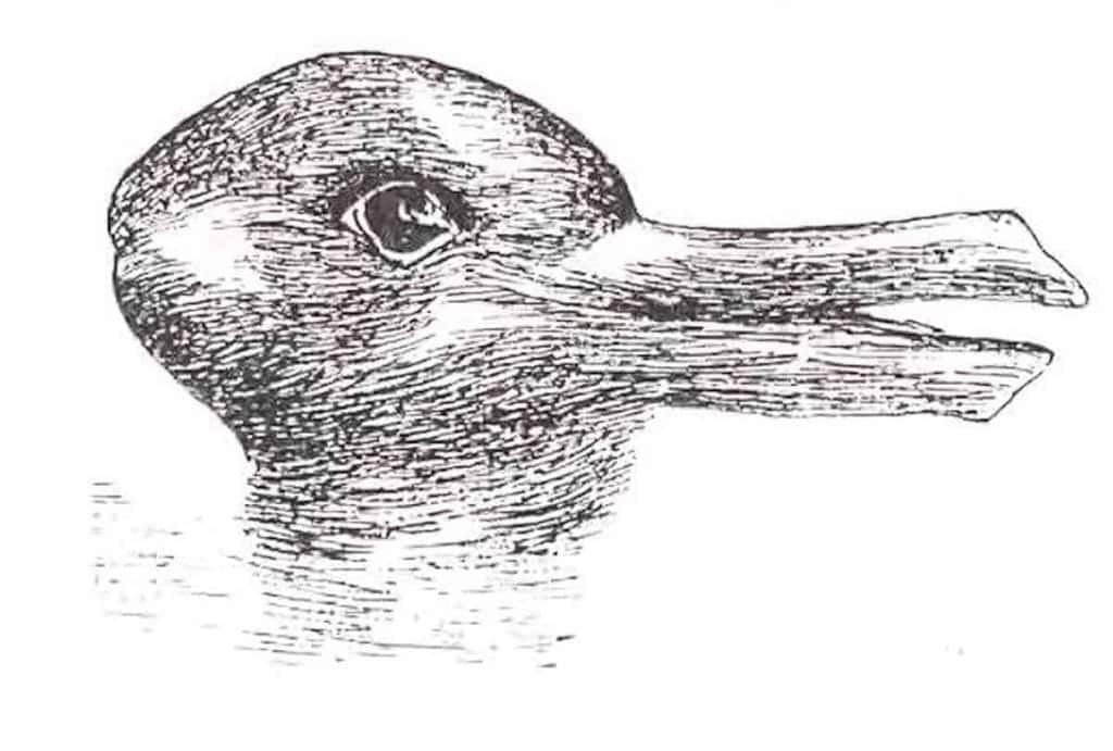 Black sketch drawing on white background which appears to be either a duck profile with one eye and beak or rabbit profile with one eye and long ears. Exemplifying the Gestalt principle of multistability.